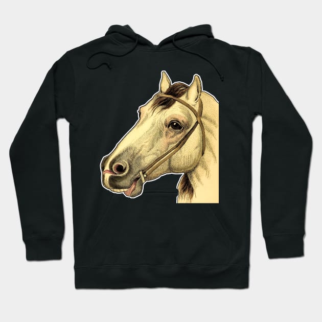 Horse head Hoodie by Marccelus